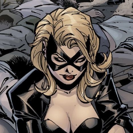 Black Canary Comic Icons, Comic Girl Pfp, Dinah Lance Comic, Black Canary Icon, Black Canary Dc, Black Canary Comic, Dc Black Canary, Kingdom Ideas, Cindy Moon