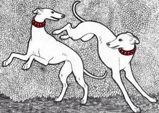 Greyhound Running Drawing, Grey Hound Illustration, American Traditional Greyhound Tattoo, How To Draw A Greyhound, Running Greyhound Tattoo, Grey Hound Tattoo, Medieval Greyhound, Whippet Illustration, Whippet Drawing