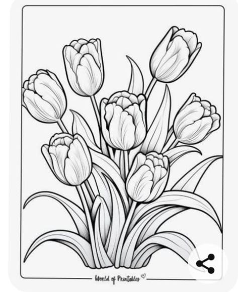 Floral Colouring Pages, Cute Flower Sketches, Printable Watercolor Coloring Pages, Floral Coloring Pages Free Printable, Flower Coloring Sheets Free Printable, Tulip Coloring Pages, Spring Coloring Sheets Free Printables, Colouring Pages Flowers, Free Coloring Pages Printables Adults