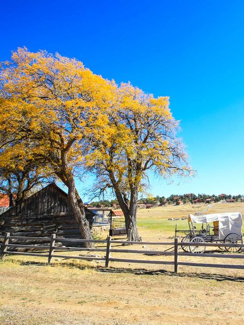 Best Places to Stay near Bryce National Park: Autumn at Zion Mountain Ranch Zion Mountain Ranch, Bryce National Park, Grand Staircase Escalante, Escalante National Monument, Cozy Cabins, Mountain Ranch, Dude Ranch, Country Inn, Bryce Canyon National Park