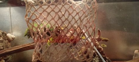 Hemp net climbing wall hermit crab style – All Things Crabby Climbing Wall Diy, Diy Crab, Crab Habitat, Diy Climbing Wall, Crab Net, Hermit Crab Tank, Hermit Crab Shells, Hermit Crabs, Rock Climbing Wall