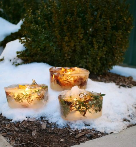 How to Make Ice Lanterns - My Proven Winners ColorChoices Ice Lanterns, Coffee Creamer Container, Creamer Container, Ice Art, Holiday Arrangement, Diy Lanterns, Proven Winners, Butterfly Bush, Winter Ideas