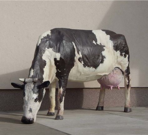 Cow Sculpture, Easy Sculpture, Statues For Sale, Patina Color, Garden Ornament, Sculpture Park, Animal Statues, Sculpture Ideas, Molding Clay