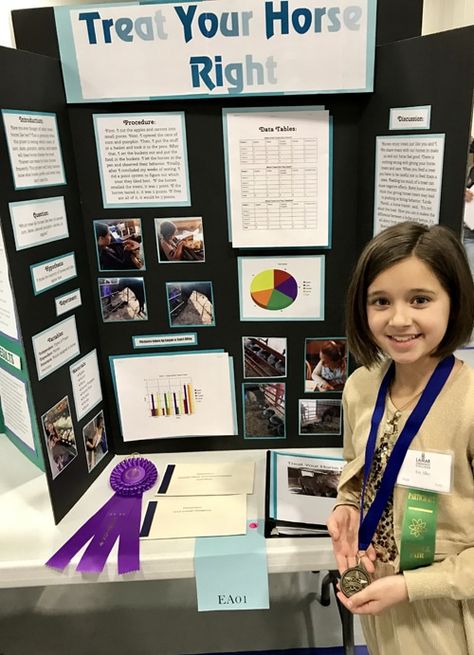 Treat Your Horse Right: A Grade 4 Science Project - Horse Lover's Math Ffa Projects, Grade 4 Science, Circle Graph, School Science Projects, Horse Movies, Apple Shop, Love Horses, Horse Treats, Horse Trainer