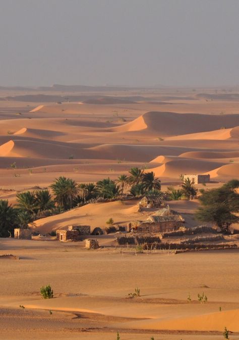 Desert Village Aesthetic, Africa Village, Desert Sahara, Deserts Of The World, Desert Life, Desert Oasis, Voyage Europe, Sand Dunes, Africa Travel