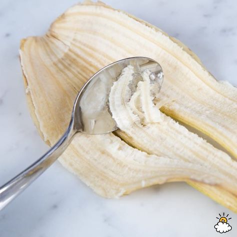 How Do I Use A Banana Peel For My Health? Banana Peel Uses, Excellent Health, Banana Peels, Calendula Benefits, Fruit Health, Banana Benefits, Fruit Health Benefits, Matcha Benefits, Lemon Benefits