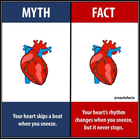 Myths And Facts About Health, Sycology Facts In English, Medical Facts Interesting, Cute Myths, Biological Facts, Medicine Knowledge, Facts About Universe, Knowledgeable Facts, Myth Vs Fact