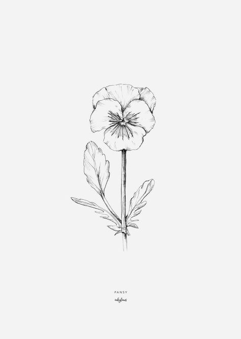 Pansy Tattoo, Modern Florals, 심플한 그림, Pansy Flower, White Drawing, Flower Sketches, Pansies Flowers, Desenho Tattoo, Black And White Drawing