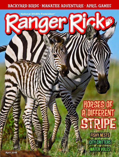 RANGER RICK ages 7-12 50 Years of Inspiring Children to Love Wildlife Subscribe to Ranger Rick Today! RANGER RICK Jr. ... Ranger Rick Magazine, American Girl Magazine, Ranger Rick, Water Vole, Kids Close, Kids Magazine, Nature Education, National Wildlife Federation, National Geographic Kids