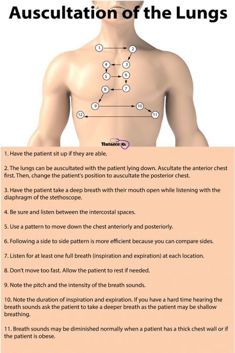 Nursing Health Assessment of the Respiratory System Medische Humor, Health Assessment Nursing, Assessment Nursing, Lung Sounds, Med Surg Nursing, Nursing Assessment, The Respiratory System, Health Assessment, Nursing Mnemonics