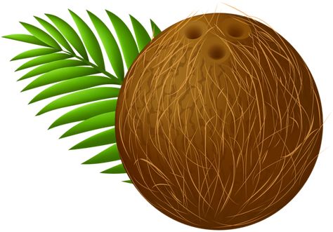 Coco Png, Coconut Images, Pirate Activities, Growing Fruit Trees, Leaves Png, Happy Birthday Png, Fruit Cartoon, Rosé Png, Wallpaper Images Hd