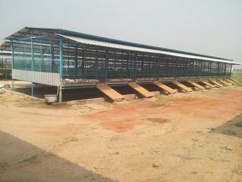 Goat shed Poultry Farm Buildings, Cow Shed Design, Goat Milking Stand, Poultry Farm Design, Sheep House, Goat Shed, Livestock Shelter, Goat Shelter, Chicken Coop Garden