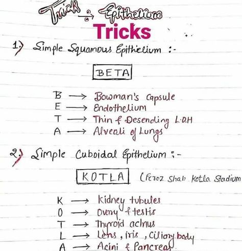 Mnemonics For Neet, Mnemonics For Biology Neet, Neet Exam Notes Biology Tricks, Biology Tricks, Study Tricks, Medical Terminology Study, Biochemistry Notes, Bio Notes, Neet Notes