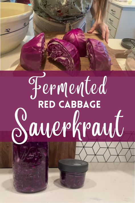 Fermented Sauerkraut Recipes, Sourkrout Recipes, Red Cabbage Sauerkraut, Fermented Vegetables Recipes, Pickled Red Cabbage, Fermented Sauerkraut, Red Cabbage Recipes, Sauerkraut Recipe, Fermented Cabbage