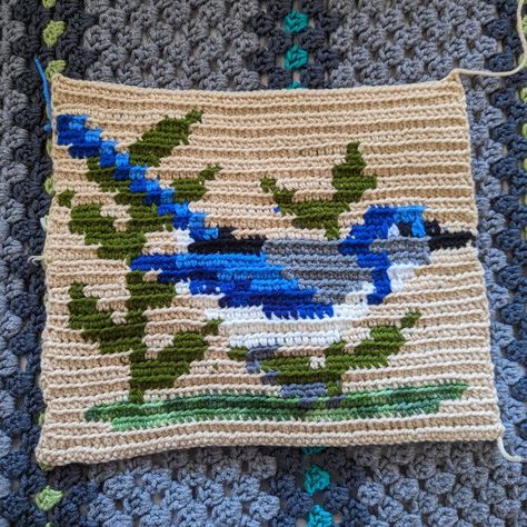 Bird Tapestry Crochet, Tapestry Crochet Blanket, California Birds, Shawl Ideas, Scrub Jay, Crochet Bird, Bird Graphic, Crochet Birds, Pixel Crochet