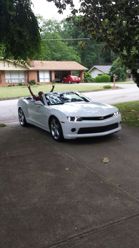 My white 2015 camaro convertible Convertible Cars Luxury, Cars For Highschoolers, Cool Convertible Cars, Convertibles Cars, Small Convertible Car, Convertible Car Aesthetic, Convertible Cars Affordable, White Camaro Aesthetic, White Camero Chevrolet