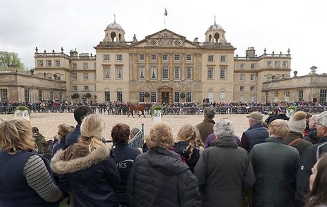 Jonelle Price claims first four-star title with Badminton victory https://trib.al/Z6QpBHZ Badminton Horse Trials, Inspo Fits, Horse Trials, Normal Girl, Desert Island, Show Jumping, Abandoned Buildings, Prince Charming, Romantic Comedy