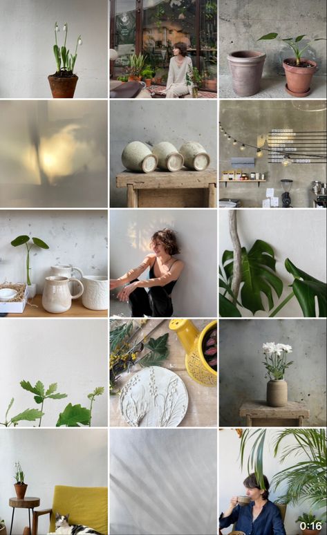 Plant Instagram, Small Shop Design, Inmobiliaria Ideas, Eco Decor, Rainbow Photography, Vintage Instagram, Flowers Instagram, Minimalist Photos, Instagram Grid