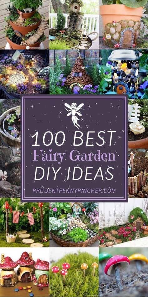 Diy Fairy Garden Ideas, Lantern With Fairy Lights, Fairy Garden Containers, Diy Fairy Garden, Fairy Garden Ideas, Garden Diy Ideas, Fairy Garden Crafts, Fairy Garden Designs, Garden Ideas Cheap