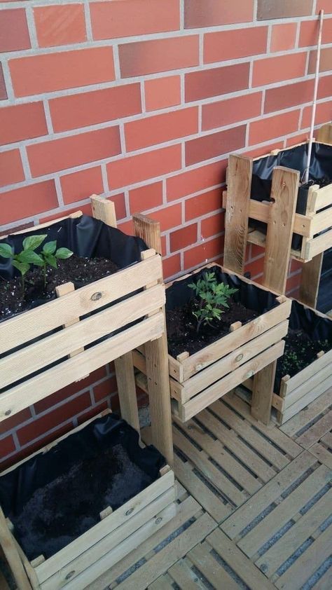 Wood Crate Planter Ideas, Huerta En Casa Ideas, Small Vegetable Garden, Apartment Patio Gardens, Herb Garden Pallet, Small Balcony Garden, Small Vegetable Gardens, Small Patio Garden, Vegetable Garden Diy