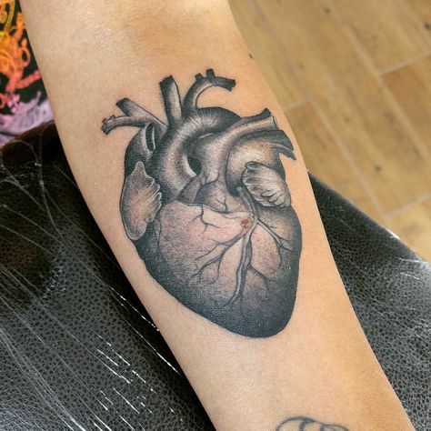 Nightmare Tattoo, Heart Realistic, Realistic Heart Tattoo, Tattoo Line Art, Realistic Heart, Black Heart Tattoos, Simple Heart Tattoos, Anatomical Heart Tattoo, Skeleton Hand Tattoo