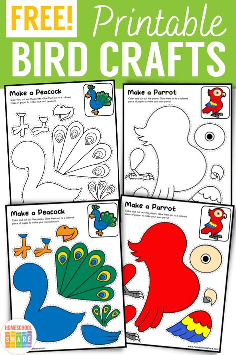 Printable Bird Crafts - Homeschool Share Bird Week Activities, Parrot Crafts For Kids, Bird Crafts For Kids Easy, Birds Preschool Activities, Bird Template Printable Free Pattern, Fish Crafts Preschool, Toucan Craft, Birds Crafts, Bird Activities