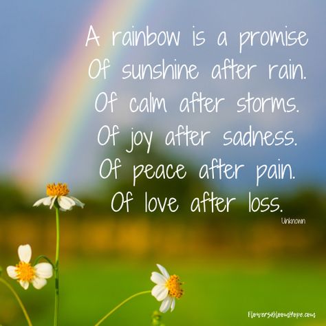 A rainbow is a promise of sunshine after rain, of calm after storms, of joy after sadness, of peace after pain, of love after loss. Comprehension Quotes, After The Rain Quotes, Rainbow Quotes Inspirational, Happy Rain Quotes, Sunshine After The Rain Quotes, After The Storm Quotes, Love After Loss, Quotes About Rainbows Inspirational, Rainbow Gods Promise Quotes