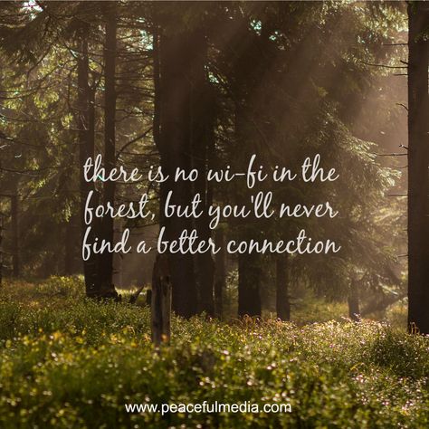 there is no wifi in the forest, but you'll never find a better connection #quote #inspiration Nature Connection Quotes, Connection Quotes, Nature Therapy, Nature Healing, Nature Connection, Brendon Burchard, Uc Davis, Growth Marketing, Quote Inspiration