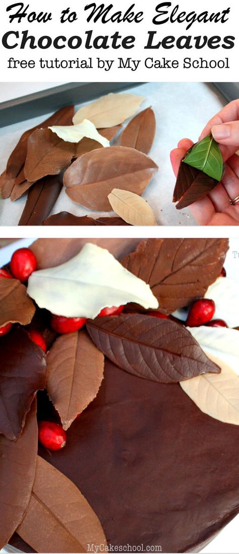 Learn how to make elegant chocolate leaves in this free autumn cake tutorial by MyCakeSchool.com! Fall Cakes Decorating, Chocolate Leaves, Fall Cake Recipes, Diy Dessert, Fall Cake, Cakes Decorating, Autumn Afternoon, Thanksgiving Cakes, Yoghurt Cake