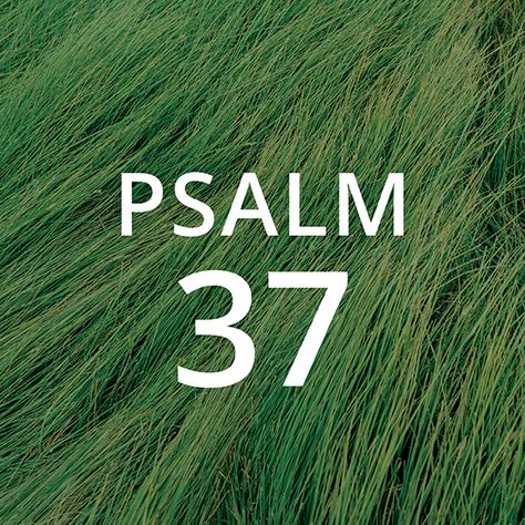 Psalm 37 - Tyler Boss - Abide Psalm 38, Psalm 17, Psalm 92, Psalm 96, Psalm 104, Psalm 68, Psalm 143, Psalm 30, Psalm 40