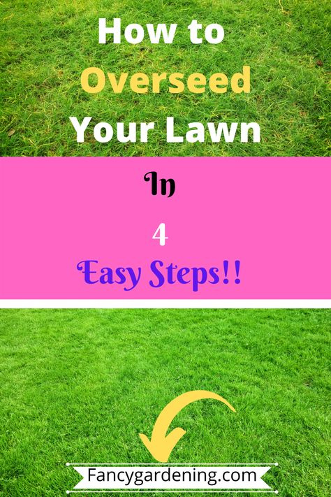 What is lawn overseeding? Hoe do you overseed your lawn? This ultimate guide has all the answers and how to overseed your lawn like a pro! #OverSeeding #LawnOverseeding #LawnReseeding Lawn Grass Types, Balcony Hanging Plants, Grass Seed Types, Balcony Patio Ideas, Overseeding Lawn, Lawn Bowls, Seeding Lawn, Balcony Planters, Weeds In Lawn