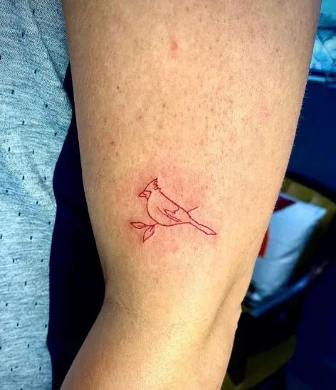 120 Cardinal Tattoo Ideas That Will Give Your Ink Meanings Red Cardinal Outline Tattoo, Red Carnal Bird Tattoo, Bird Tattoo Cardinal, Hummingbird Cardinal Tattoo, Matching Cardinal Tattoos, Cardinal And Dove Tattoo, Fineline Cardinal Tattoo, Minimalist Cardinal Tattoo Outline, Red Cardinal Bird Tattoo