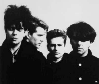 Liverpool Post Punk Exhibition Garage Punk, Echo And The Bunnymen, Goth Bands, Punk Rock Bands, Artist Biography, The New Wave, 80s Music, Band Photos, Music Performance