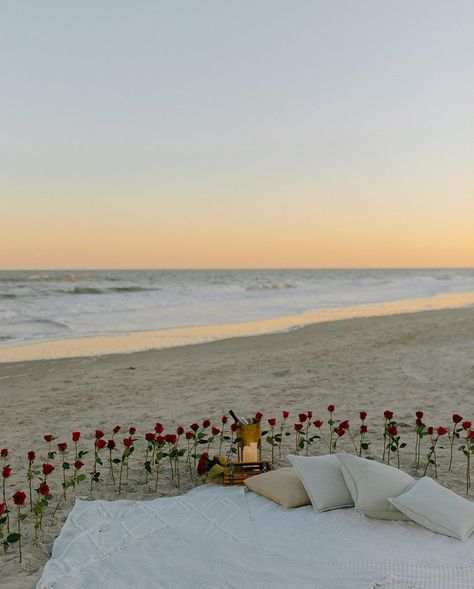 Roses + beach + sunset = proposal perfection 😍🌹 📷 : @beachpicnicco #evite #beach #proposal #roses #beachproposal Will You Be My Girlfriend Proposal Ideas Beach, Proposal Beach Picnic, Florida Proposal Ideas, Beach Proposal Simple, Beach Proposal Setup Simple, Wedding Proposals Beach, Date Proposal Ideas, Simple Engagement Ideas Proposal, Pretty Proposals