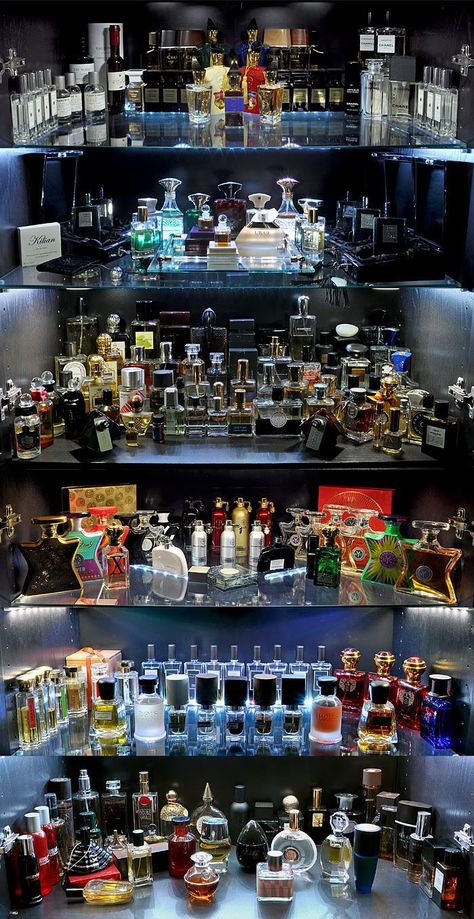 Perfume Collection Display, Koleksi Parfum, Cologne Collection, Best Perfume For Men, Best Fragrance For Men, Perfume Organization, Perfume Collection Fragrance, Niche Perfume, Perfume Lover