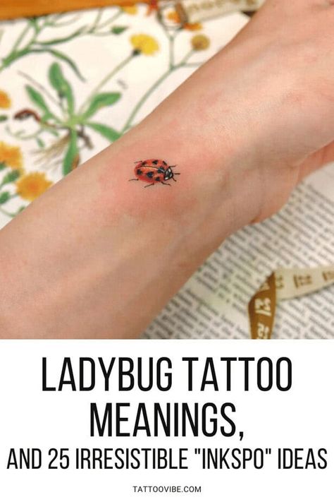 Ladybug Tattoo Meanings And 25 Irresistible “Inkspo” Ideas 1 Ladybug Ear Tattoo, Ladybug Tattoo Meaning, Sunflower And Ladybug Tattoo, Tiny Ladybug Tattoo Simple, Dainty Ladybug Tattoo, Love Bug Tattoo, Ladybird Tattoo, Ladybug Tattoos, Blitz Tattoo