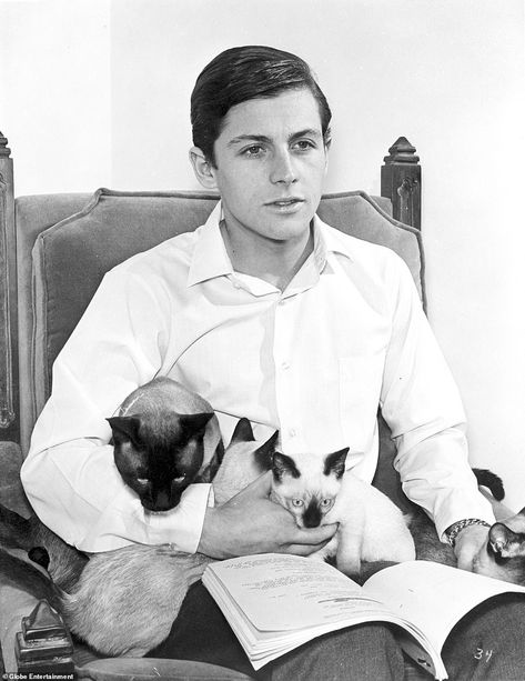 Batman Sidekicks, Burt Ward, Multiple Cats, Photos Of Celebrities, Eddie Fisher, Eartha Kitt, Food Company, Animal Rights Activist, Famous Musicians