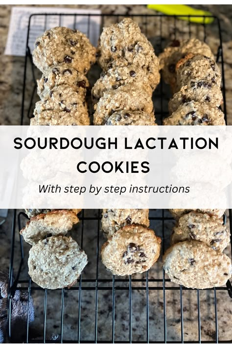 Lactation Cookies With Brewers Yeast, Brewers Yeast Cookies, Brewers Yeast Recipes Healthy, Sourdough Lactation Cookies, Sourdough Baby Snacks, Brewers Yeast Recipes Milk Supply, Oatmeal Lactation Cookies, Feeding Sourdough, Sourdough Oatmeal