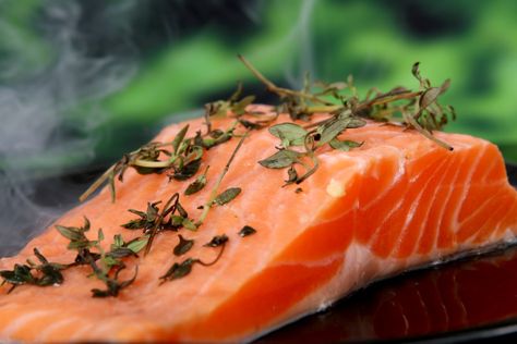 Cedar Plank Salmon Healthy High Calorie Foods, Cooked Salmon, Homemade Cat Food, High Calorie Meals, Cooking Salmon, Gain Muscle, Paleo Diet, Protein Foods, Food Store