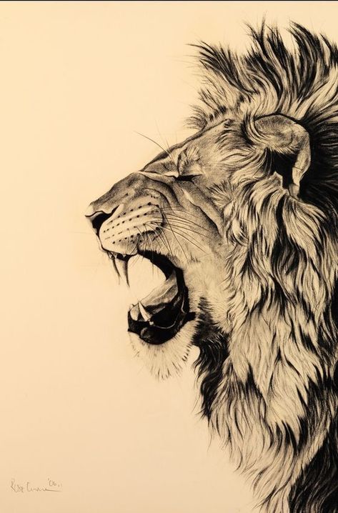 Lion Roar Tattoo, Vogel Tattoo, Lion Sketch, Tier Tattoo, Mens Lion Tattoo, Lion Head Tattoos, Kunst Tattoos, Lion Drawing, Lion Tattoo Design