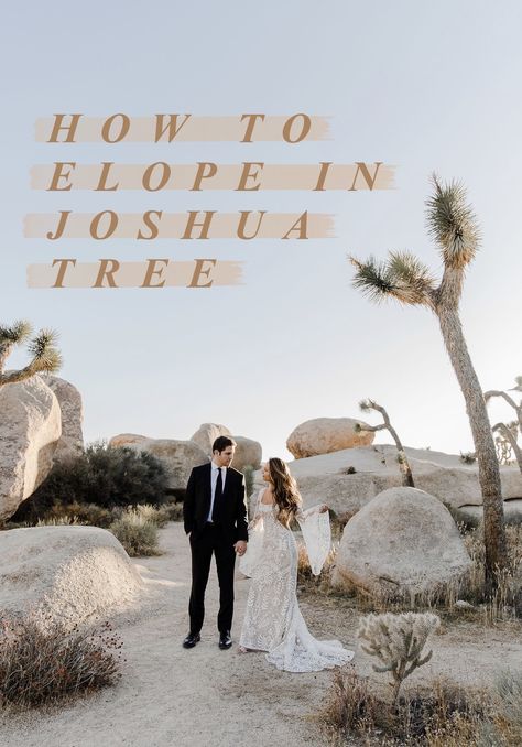 Joshua Tree National Park Elopement, Wedding In Joshua Tree, Joshua Tree Elopement Ideas, Joshua Tree Elopment, Elopement Joshua Tree, Bow Renewal, Palm Springs Aesthetic, Elopement Tips, Dessert Wedding