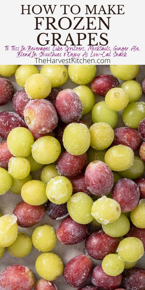 Frozen grapes are quick and easy to make, and so pretty to add to your summer drinks. Just drop a few into your glass to keep your beverages chilled. Learn How to Freeze Grapes with this easy recipe to add to sparkling water, spritzers, Ginger Ale, mocktails, smoothies and more. How To Freeze Grapes, Can You Freeze Grapes, Frozen Grapes Recipe, Freeze Grapes, Fruit Prep, Autoimmune Diet Recipes, Low Cal Snacks, Clean Eating Vegetarian, Harvest Kitchen