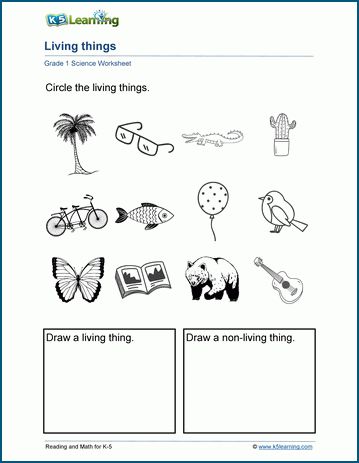 Living Things Worksheet | K5 Learning Living Things And Non Living Things Worksheet For Grade 1, Awana Crafts, Non Living Things, Homeschooling First Grade, Kindergarten Grammar, Characteristics Of Living Things, Worksheets For Class 1, Fun Worksheets For Kids, Cursive Writing Worksheets