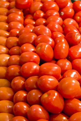 Plum tomatoes Errand Business, Vegetables Photography, Vegetable Pictures, Beautiful Angels Pictures, Fruit Photography, No Cooking, Learning Graphic Design, Plum Tomatoes, Roma Tomatoes