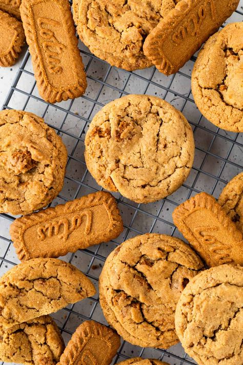 Chewy Biscoff Cookie Butter Cookies Recipe  – Sugary Logic Cookie Butter Cookies Recipe, Biscoff Cookies Recipe, Biscoff Cookie Recipe, Cookie Butter Cookies, Buttery Cookie, Biscoff Recipes, Biscoff Cookie Butter, Biscoff Spread, Biscoff Cookies