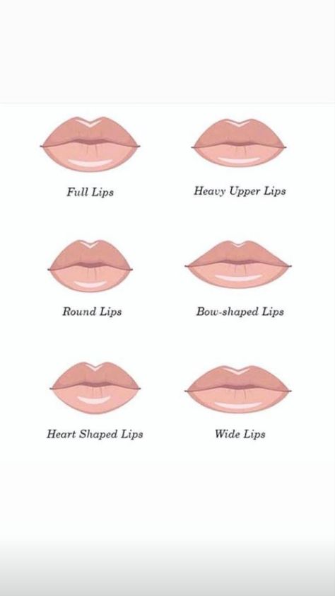 Lips Filer Shape, Lip Filler Shape Ideas Russian, Lip Shapes Filler, Lips Injections Shapes, Different Lip Filler Shapes, Lip Injections Shapes, Lip Filler Shapes, Lip Fillers Shapes, Russian Lips Filler