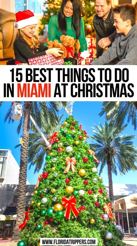 15 Best Things to Do in Miami At Christmas Christmas In Miami Outfits, Miami In December, Christmas In Miami, Miami Christmas, Miami Holiday, Things To Do In Florida, Miami South Beach, Miami Decor, Things To Do In Miami