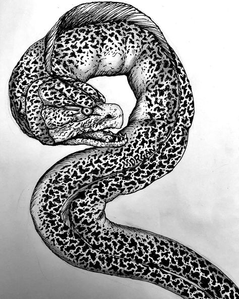 Morgan / Illustrations on Instagram: “Inktober Day 30-Slither I drew the Moray Eel native around Australia particularly Saltwater Queensland. The inspiration came more from my…” Japanese Eel Tattoo, Eel Tattoo Design, Eel Drawing, Eel Art, Moray Eel Tattoo, Moray Eel, Mens Fashion Illustration, Concept Art Drawing, Black And White Drawing