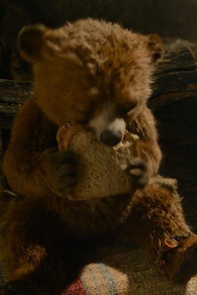 As if Paddington couldn't get any cuter. Paddington Bear Aesthetic, Paddington 2 Aesthetic, Paddington Movie Poster, The Adventures Of Paddington, Paddington Film, 4:50 From Paddington, Richard Osman, Bear Crawl, Imelda Staunton