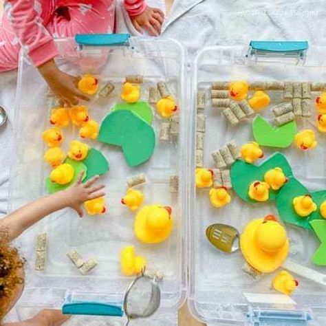 Feed the Ducks Sensory Bin for Toddlers & Preschoolers - Toot's Mom is Tired Sensory Bin For Toddlers, Water Play Activities, Mess Free Painting, Lavender Room, Toddler Homeschool, Fun Friday, Activities For Toddlers, School Garden, Easy Activities